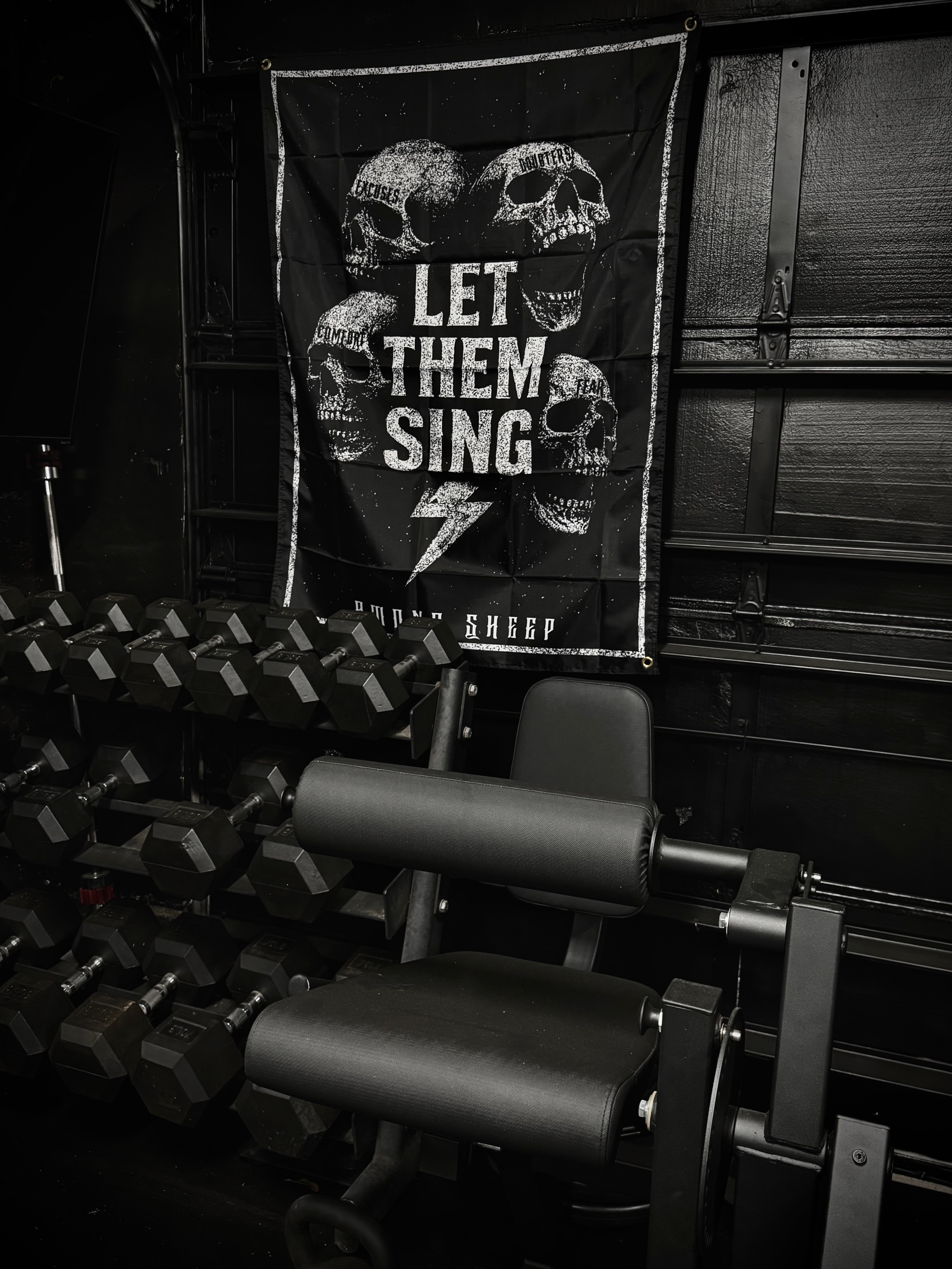 Let Them Sing Flag